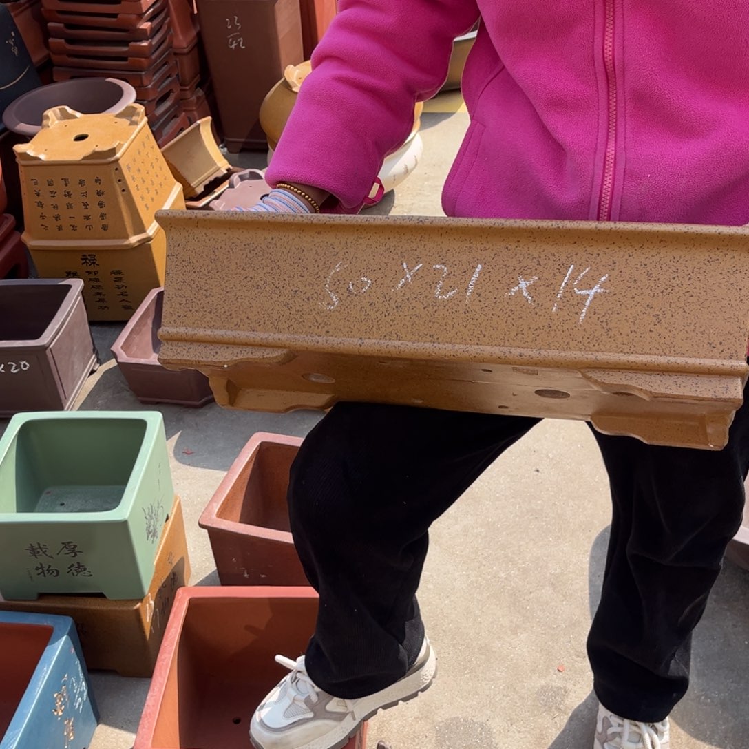 紫砂花盆盆景艺术