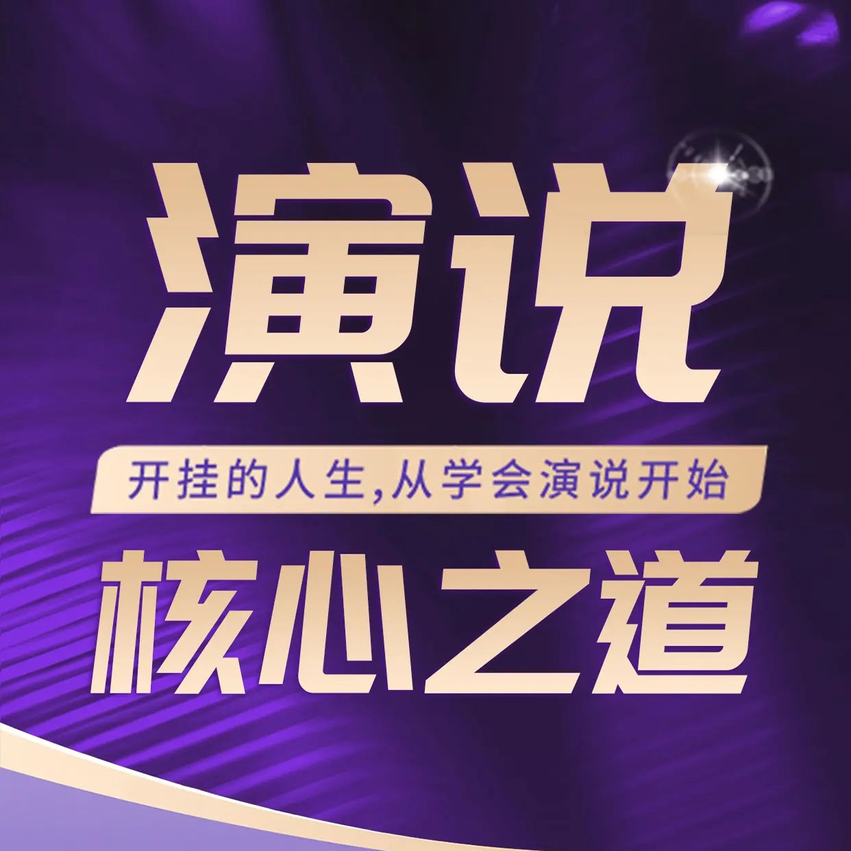【DS】《演说核心之道》
