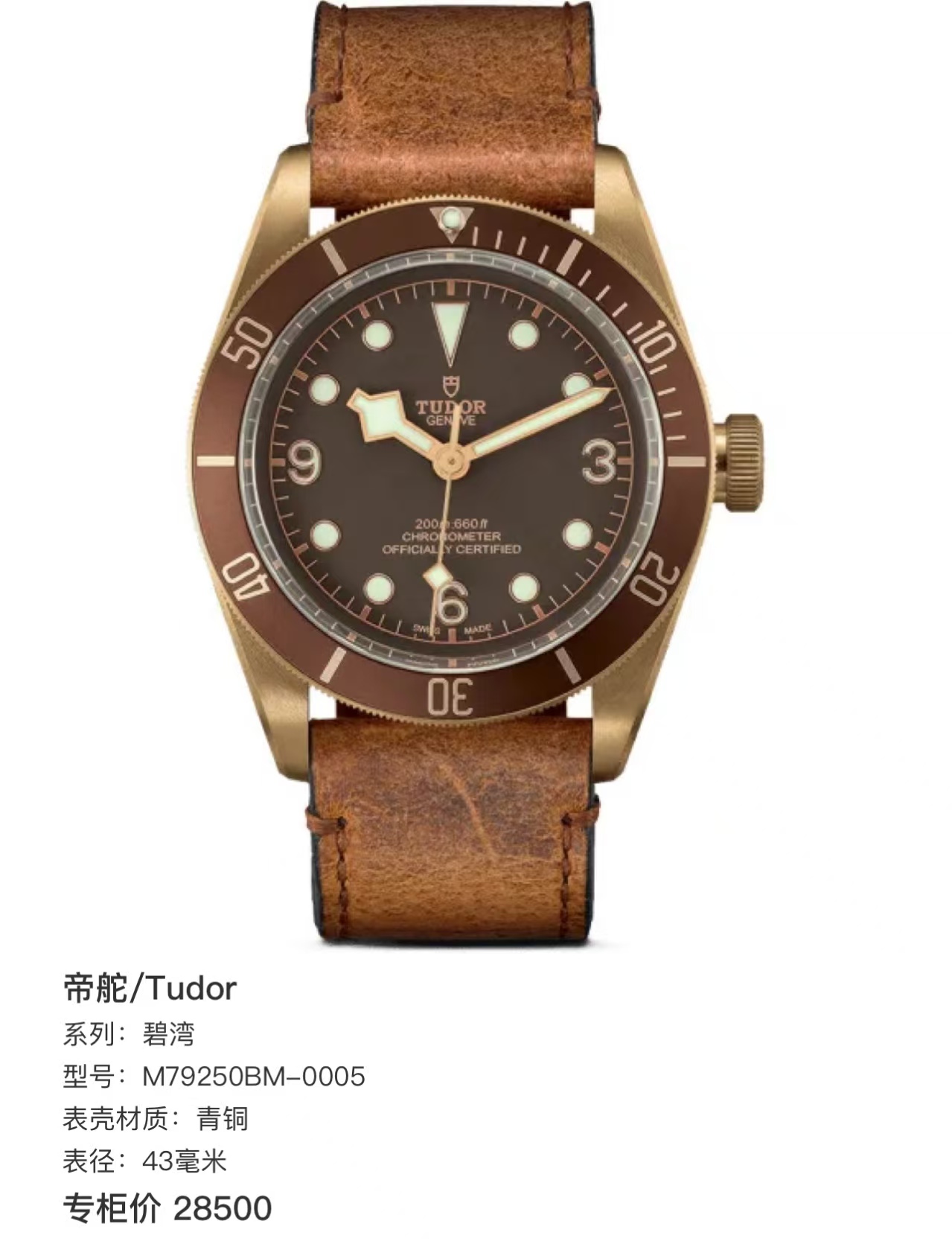 99新 TUDOR/帝舵 帝舵/Tudor手表 碧湾 M79250BM-0005 青铜43毫米