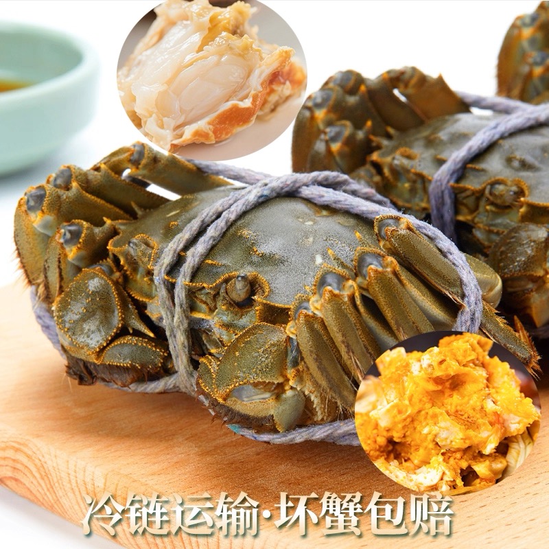 Q【活蟹】2两全母江苏鲜活河蟹只装冷链空运包邮到家8只送2只礼盒装