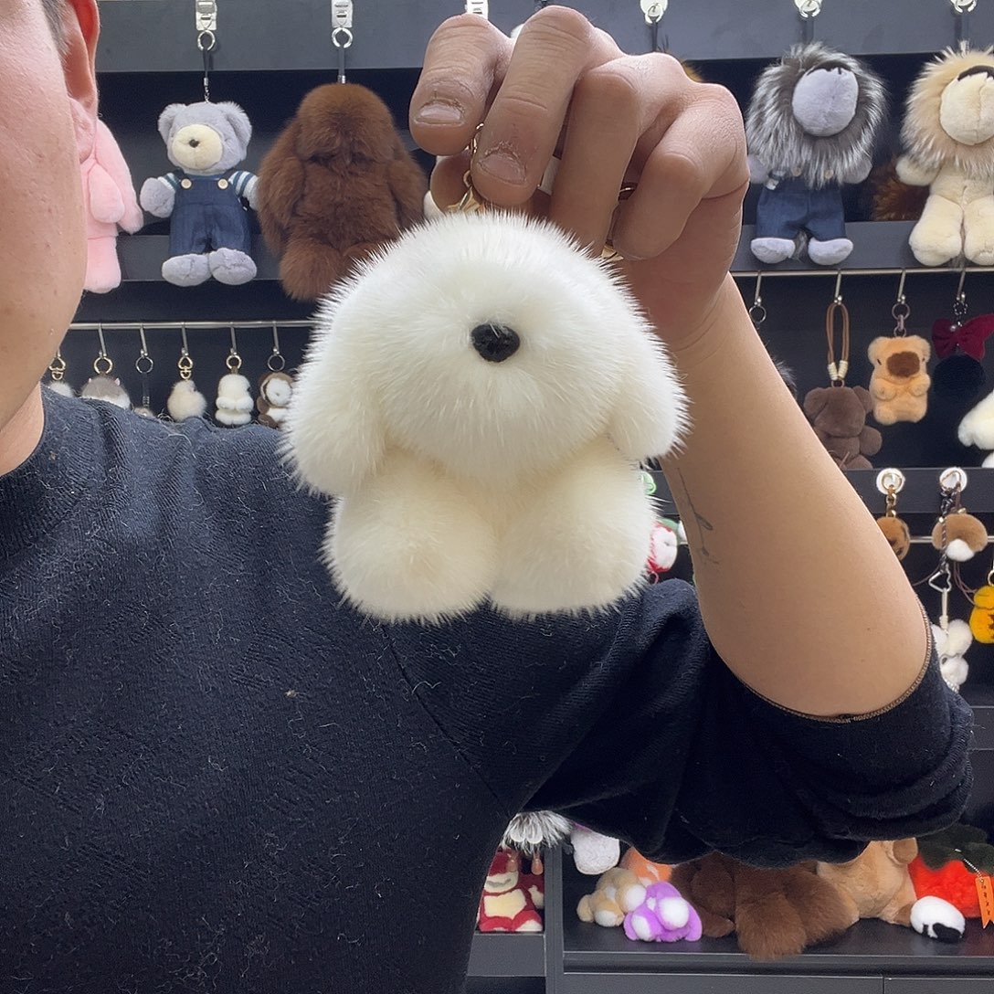 钛合金带子款小狗