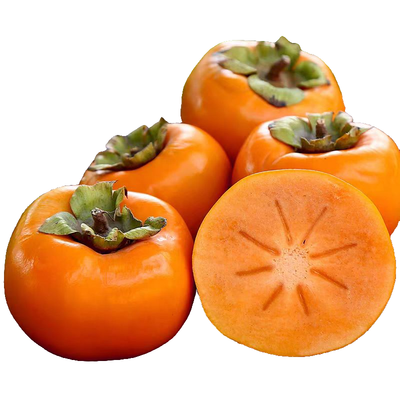 陕西省巧克力脆柿柿子陕西省