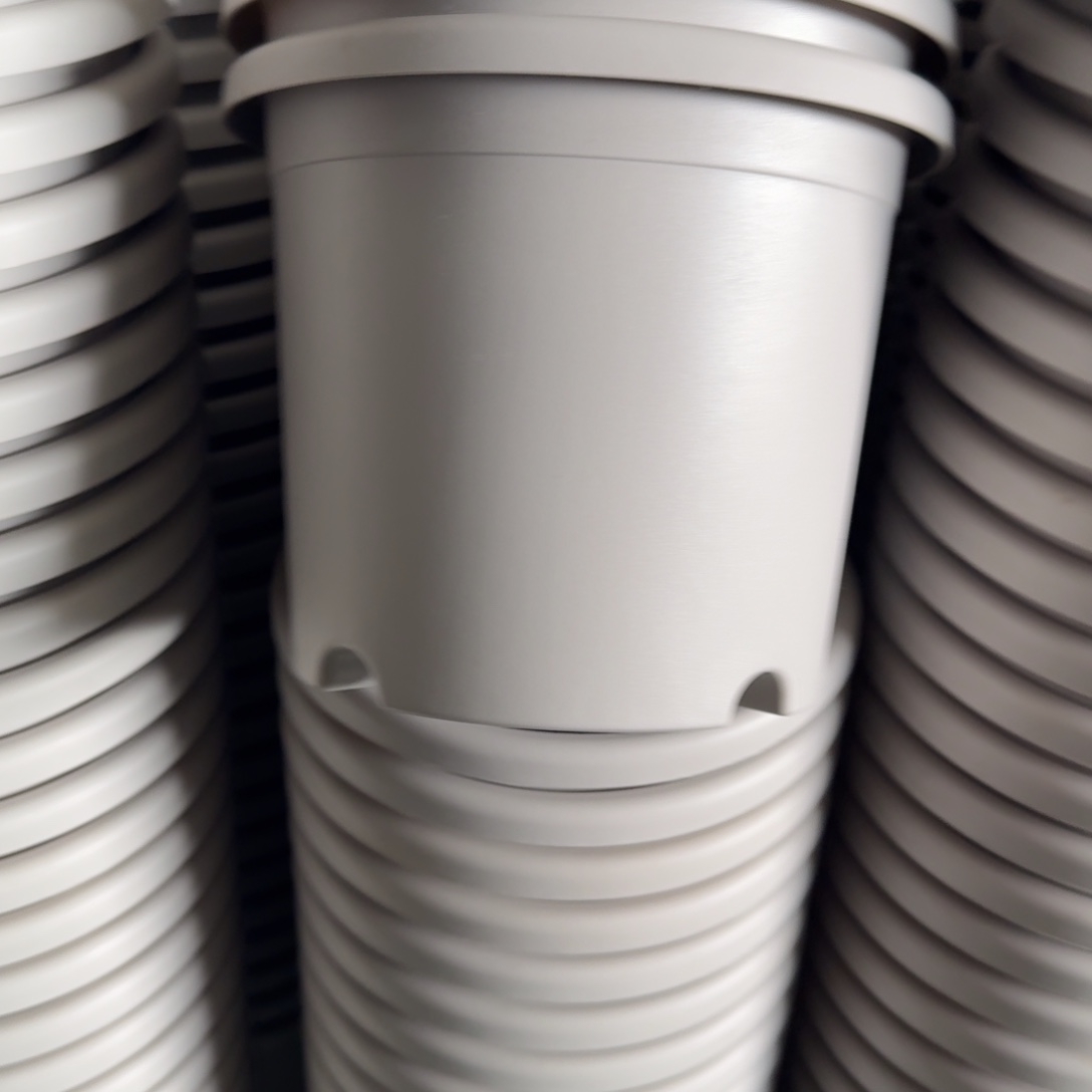 四季3#无拖灰白6个