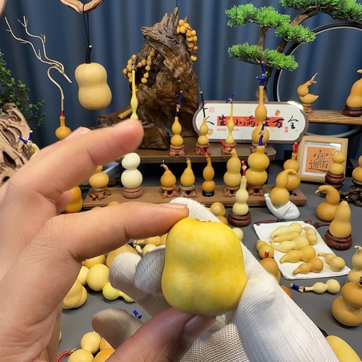 S***1木骨头双脐123456