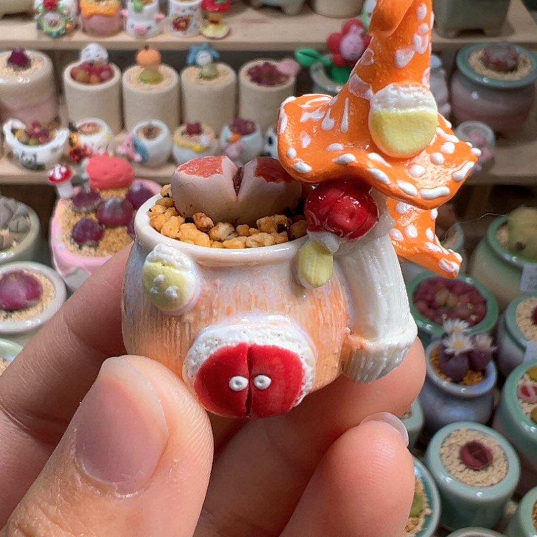 多肉植物3号拇指盆