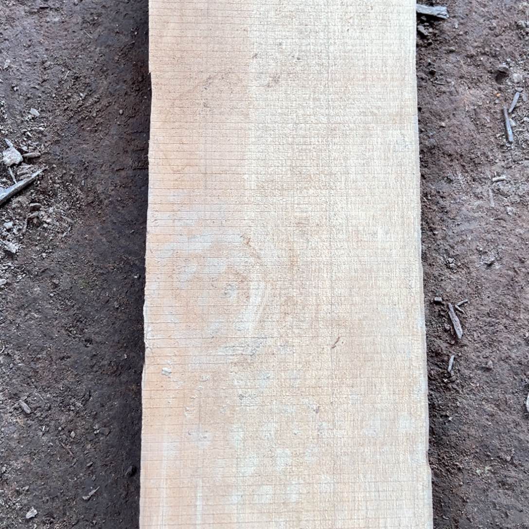 金丝楠好*小叶桢楠金丝楠木