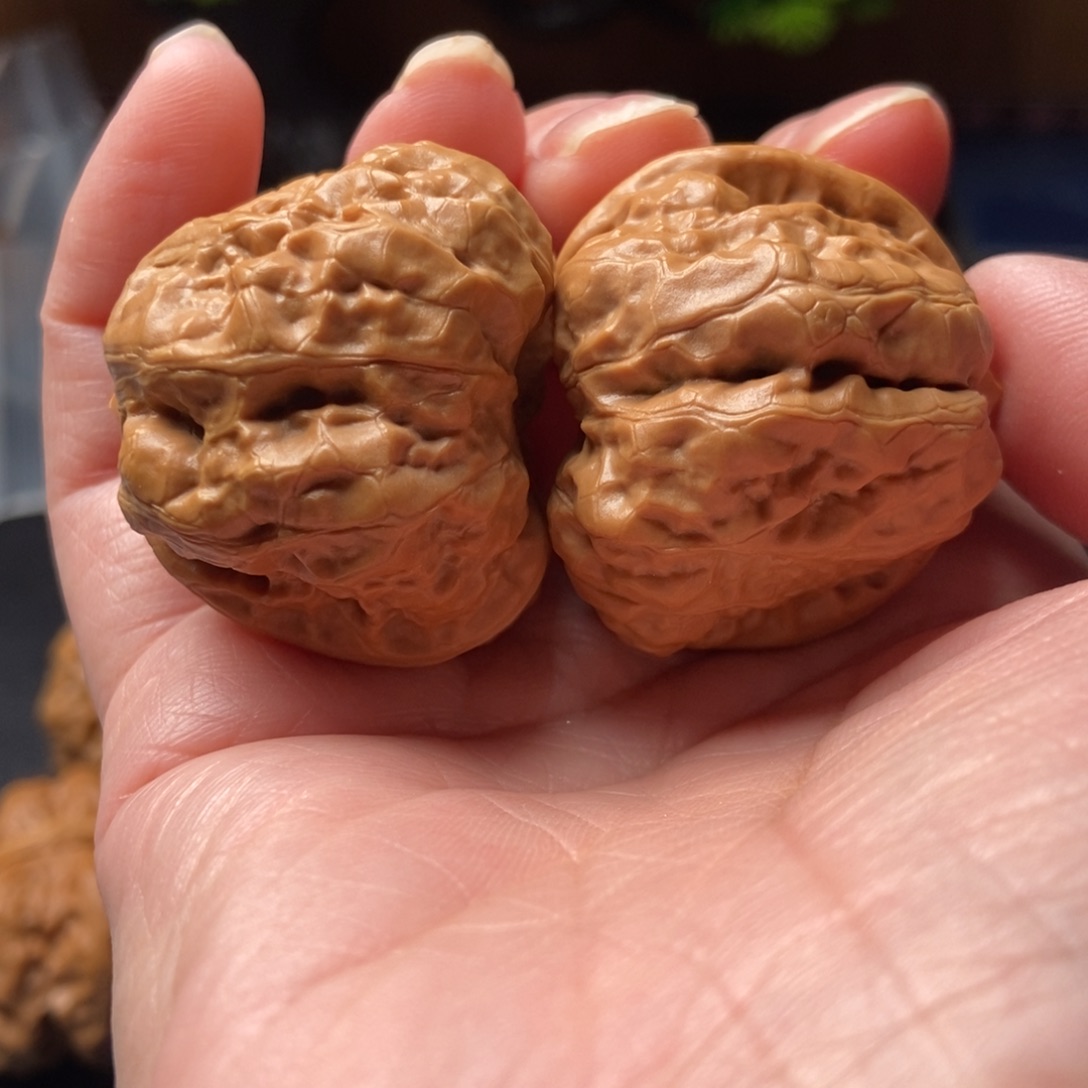 文玩核桃把件蛤蟆头37