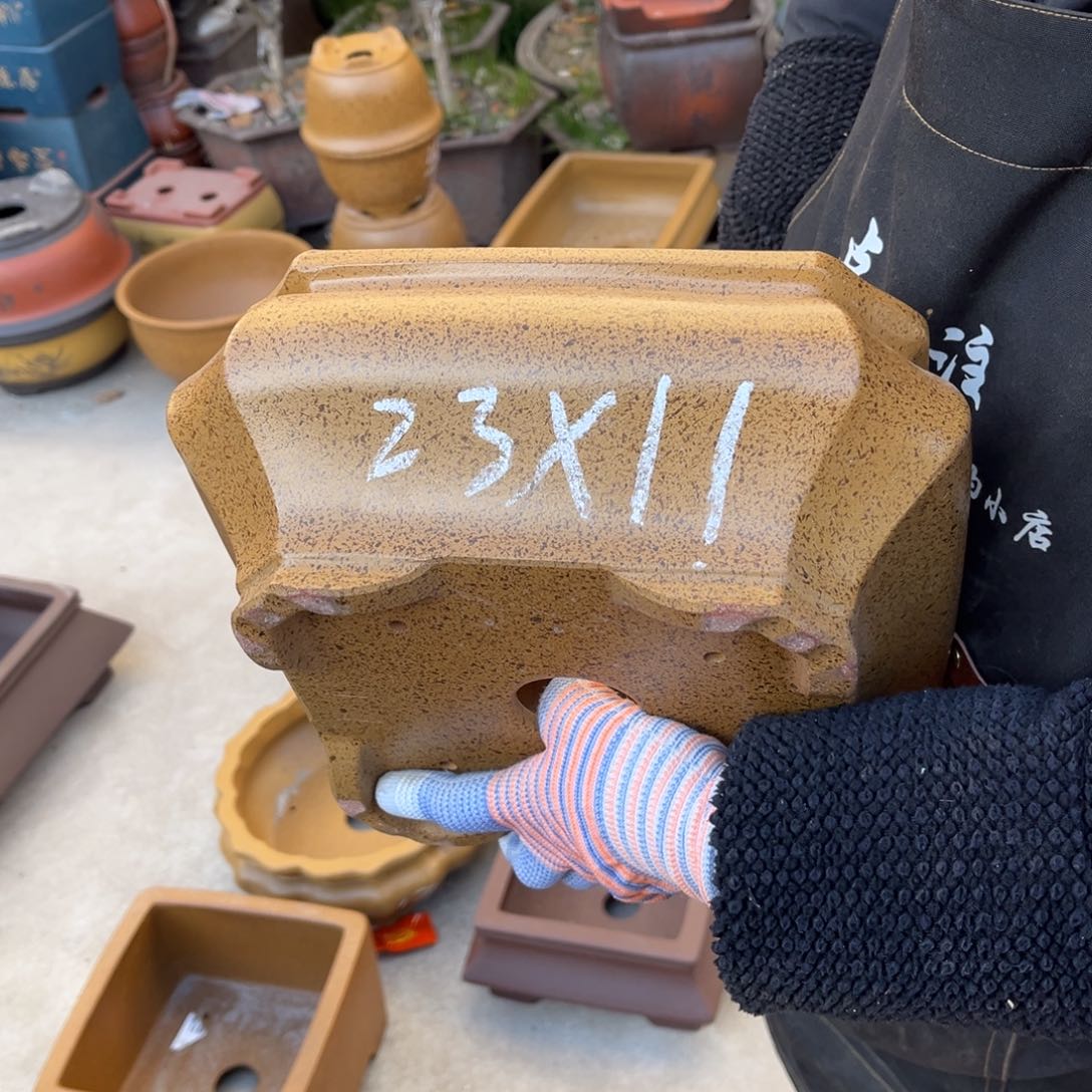 紫砂花盆盆景艺术