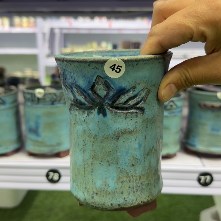 红陶田小姐多肉花盆