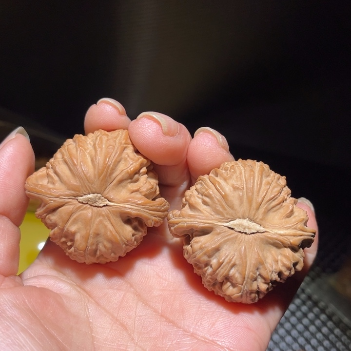 y***大叶紫檀（黑酸枝木类）