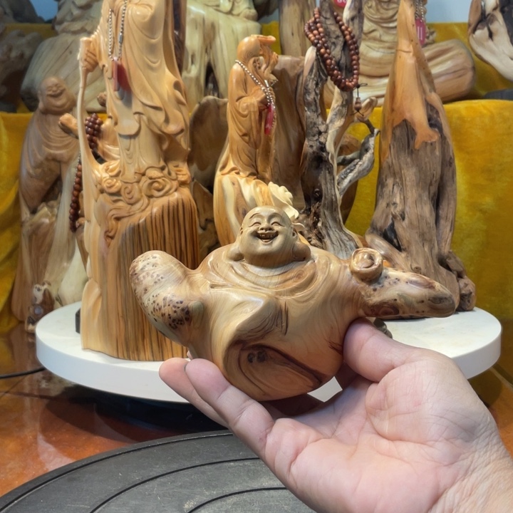 柏木（崖柏）崖柏   弥勒