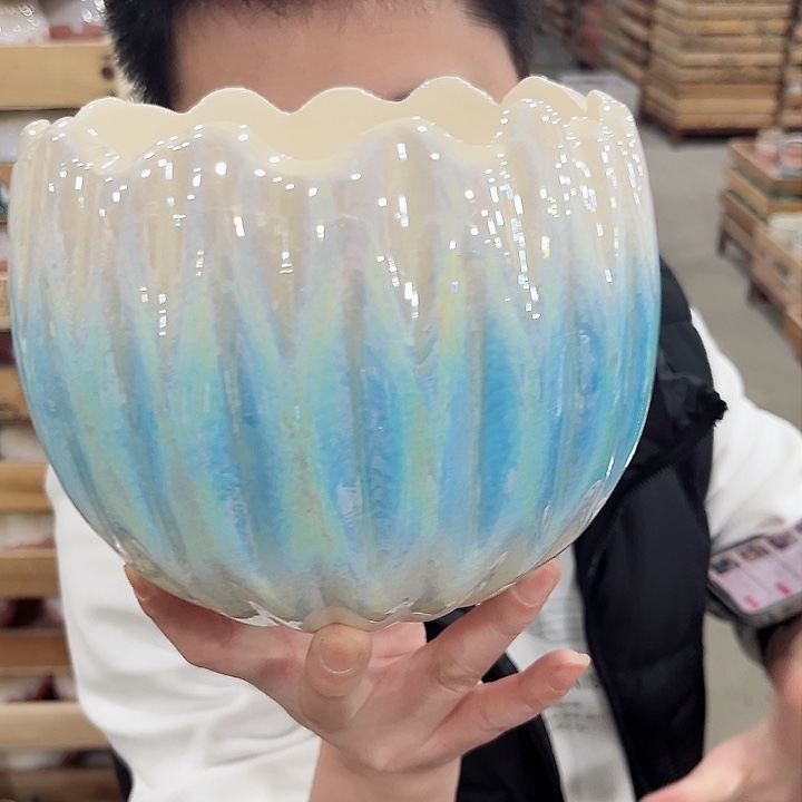 陶瓷陶瓷多肉植物花盆