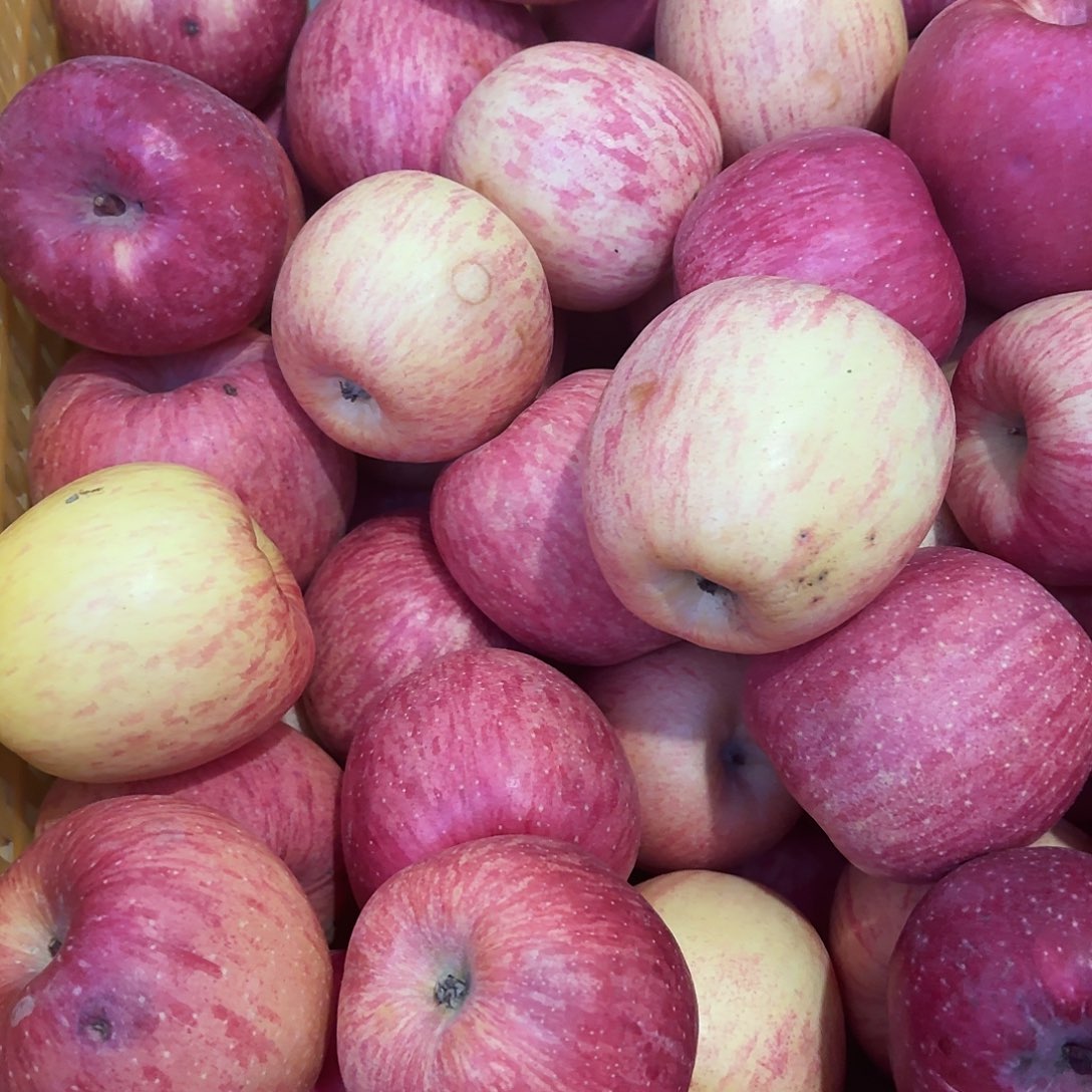 金冠苹果红富士瑕疵果磕碰