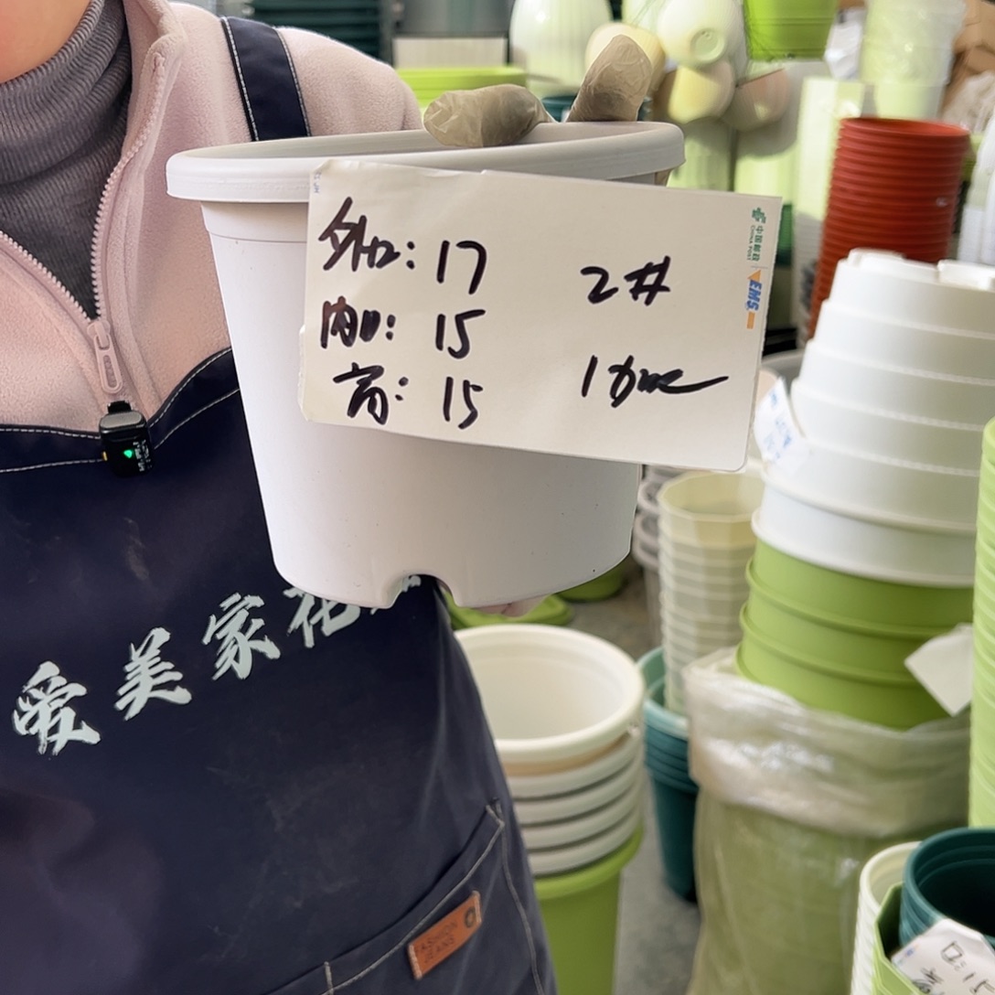 四季盆2#灰白色10个无托