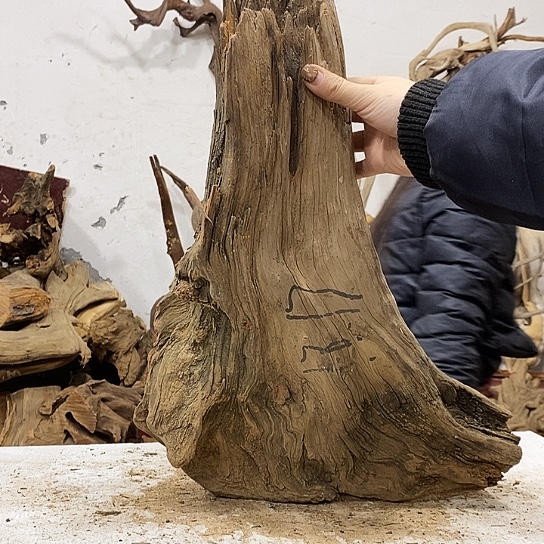 壹***堂柏木我们都是好孩子