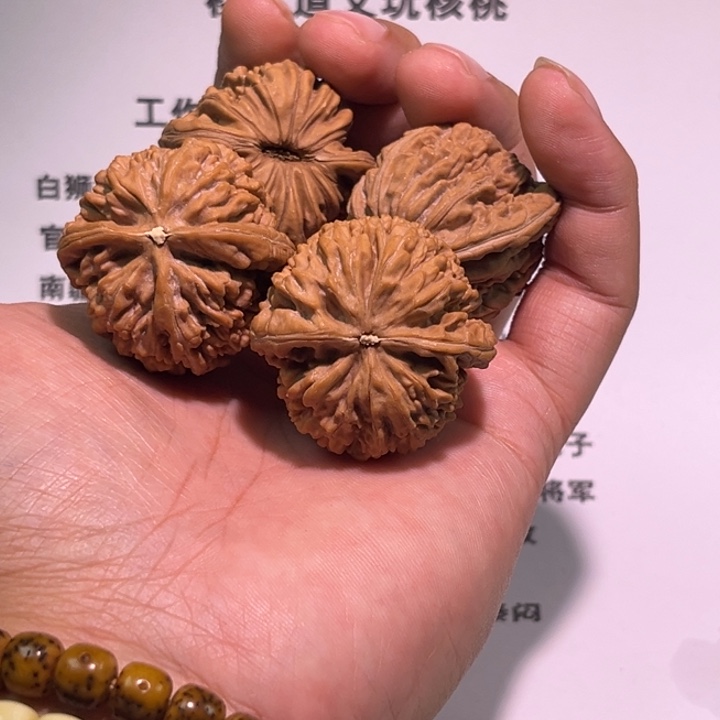 大****文玩核桃把件蚂蚁王，楼