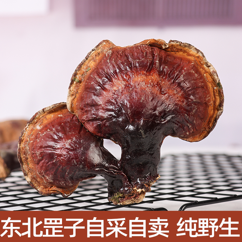 东北深山野生松杉赤灵芝干品煲汤煮水泡酒50克  包邮