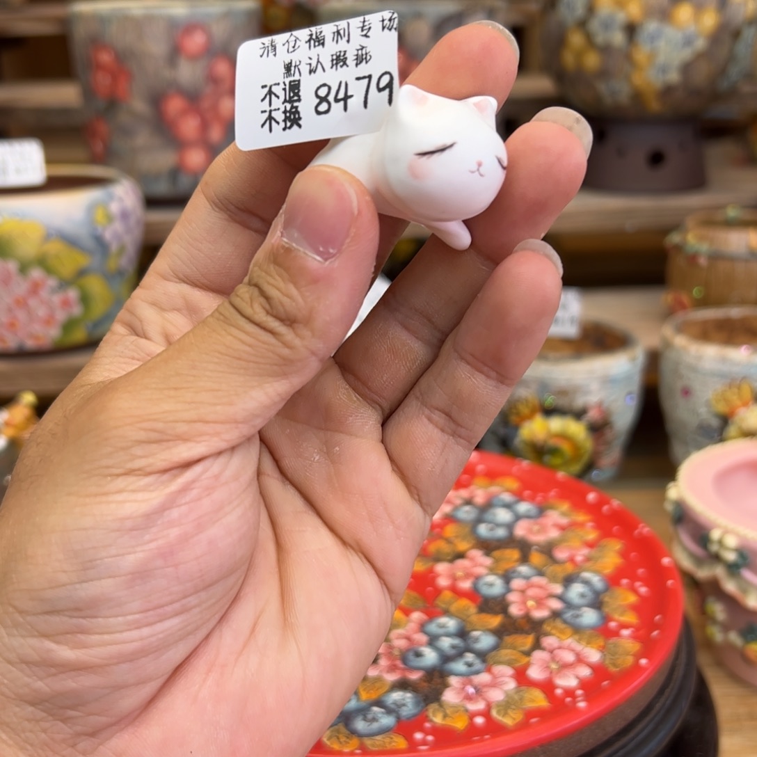 8479福利美盆来咯