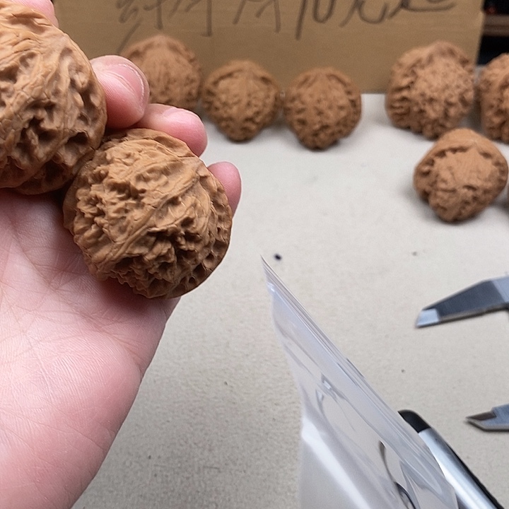 ****龙脊菩提吊坠6.6.6.6:6.3.6