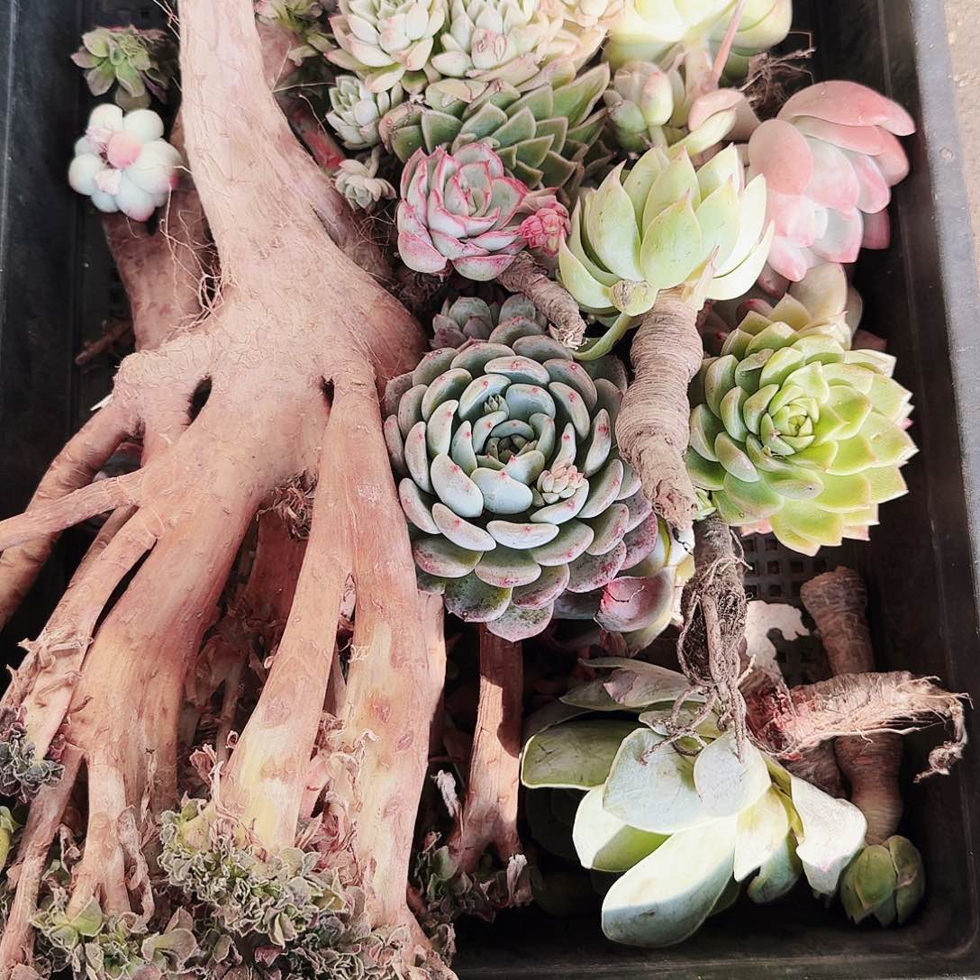 满20包邮零下拍保温箱4号筐无售后