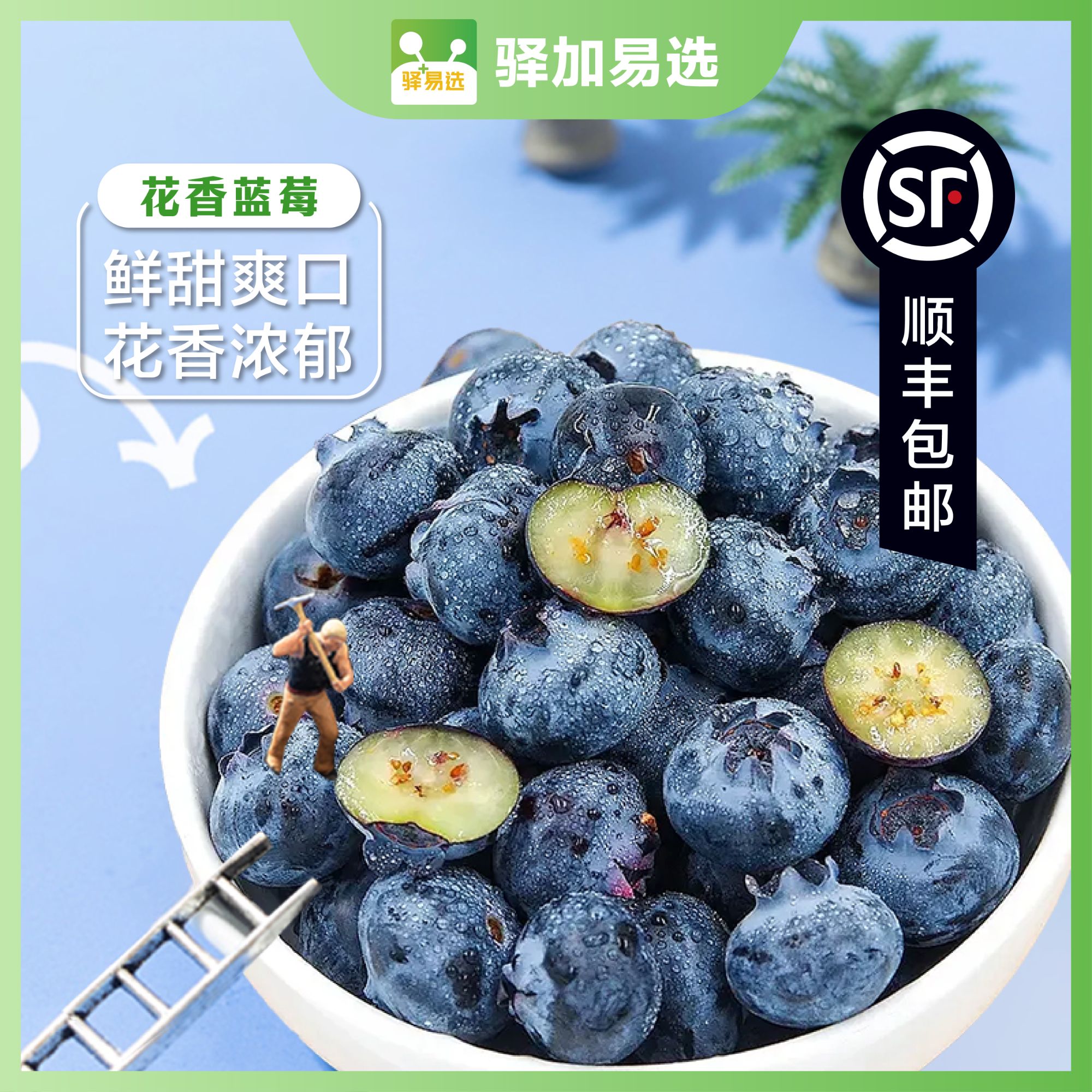【云南高山花香蓝莓】酸甜爽口  产地新鲜直发 顺丰包邮