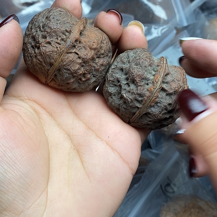 文玩核桃把件57号44mm