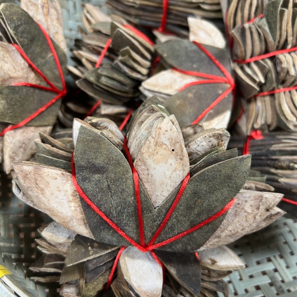 ［南粤橘珍］正宗化橘红-备用链接