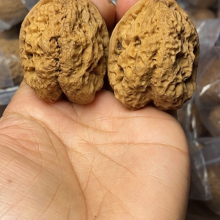 文玩核桃把件云南铁核桃28