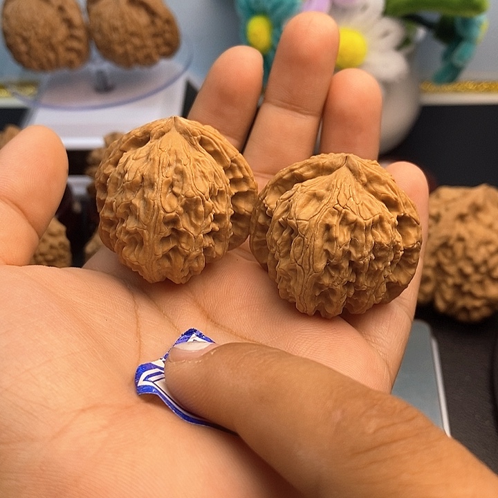 文玩核桃把件37白狮子