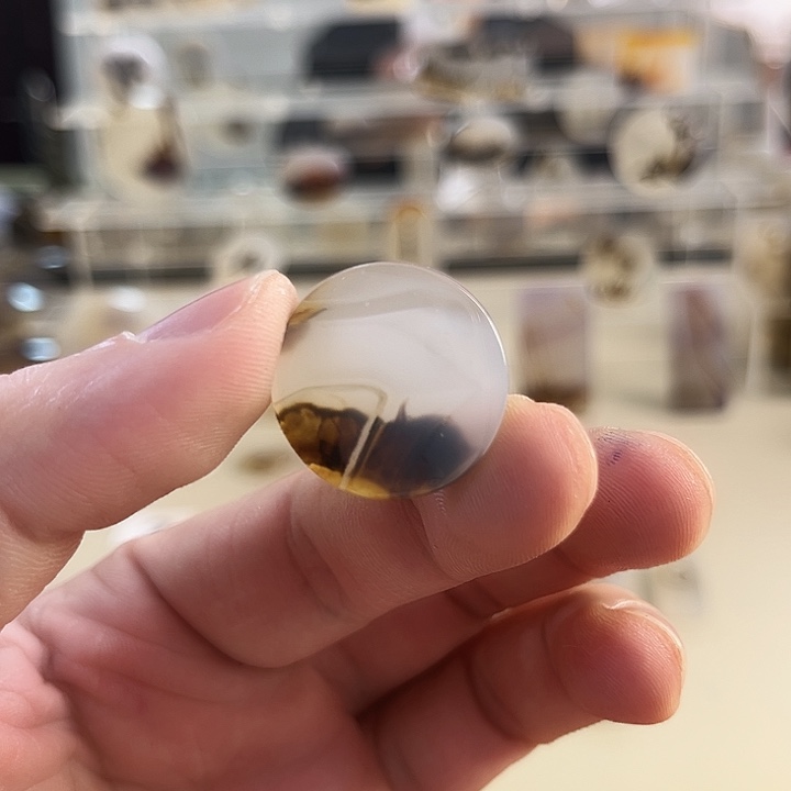 玛瑙/玉髓吊坠(不含链)未镶嵌