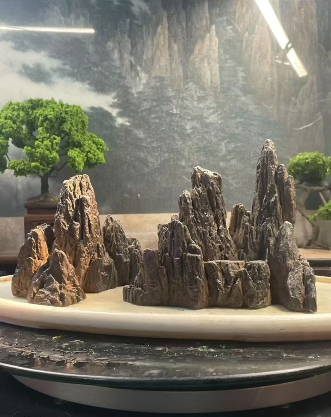 编号3100盆景鱼缸造景石吸水石鱼缸造景摆件