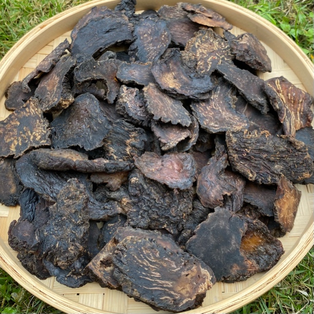 【杨老妹】山货肉苁蓉250克农产品
