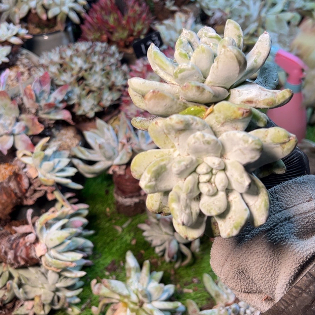 8392哈哈哈哈哈哈哈哈