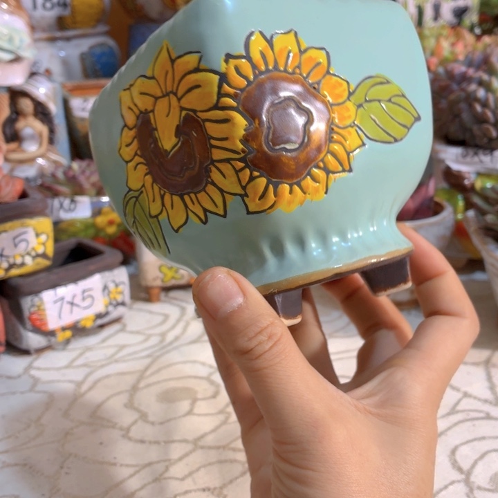 多肉花盆满15包邮，爱退款拉黑