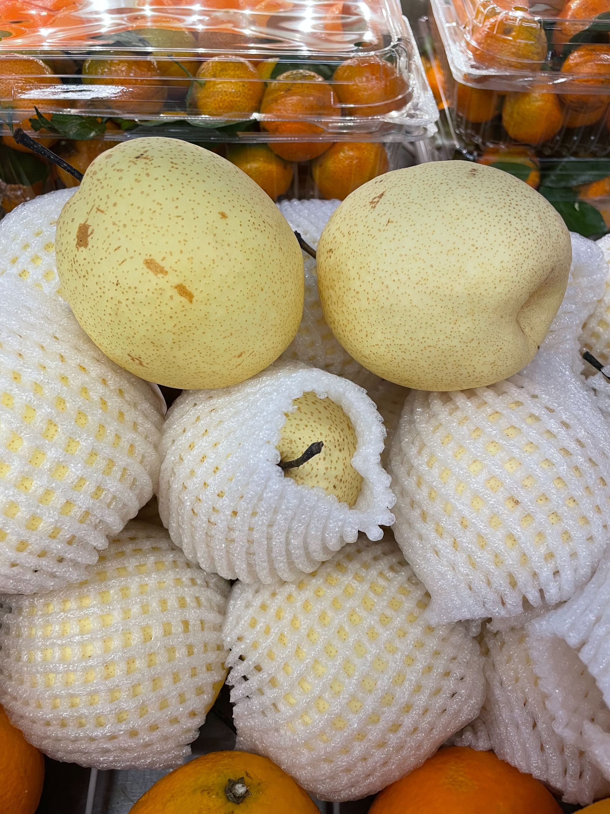 山西蜂糖蜜梨【老笨鲜生】10元起送，98包邮