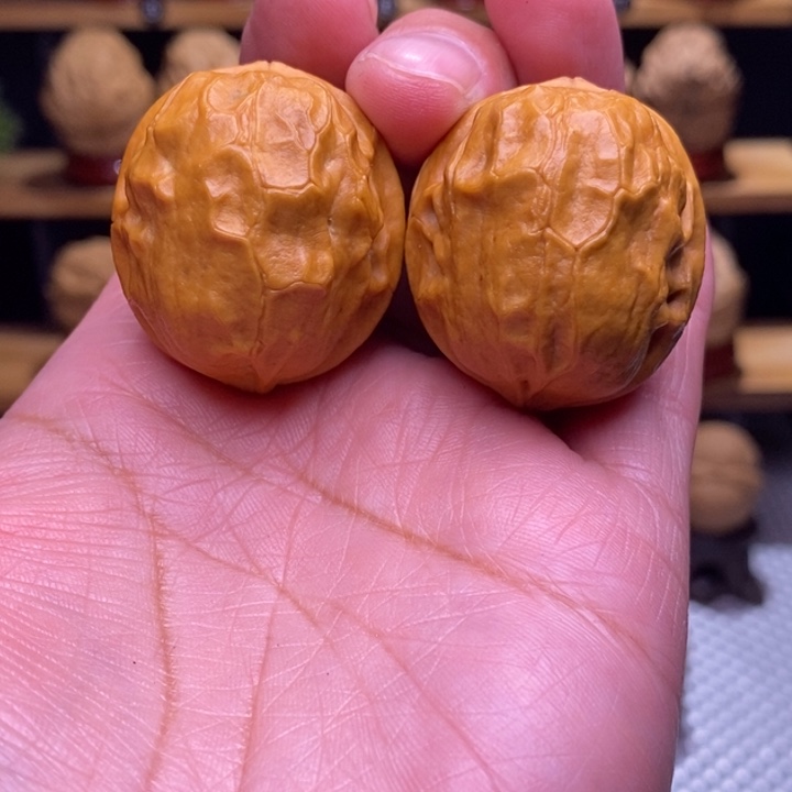 木质类云铁甲壳虫77号