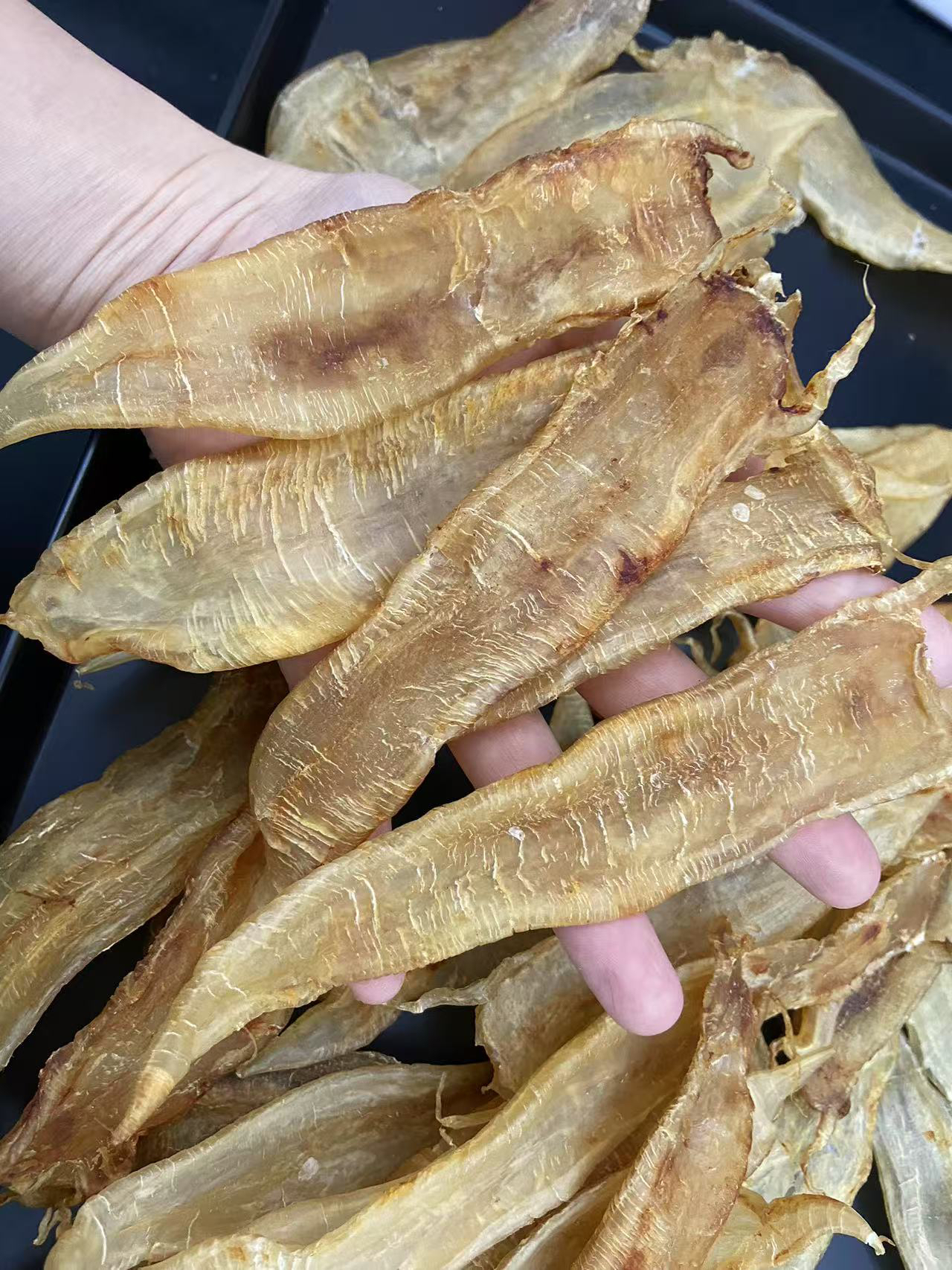 广东汕头+ 老北海赤嘴花胶鱼胶鱼肚干货-煲汤-250-500G