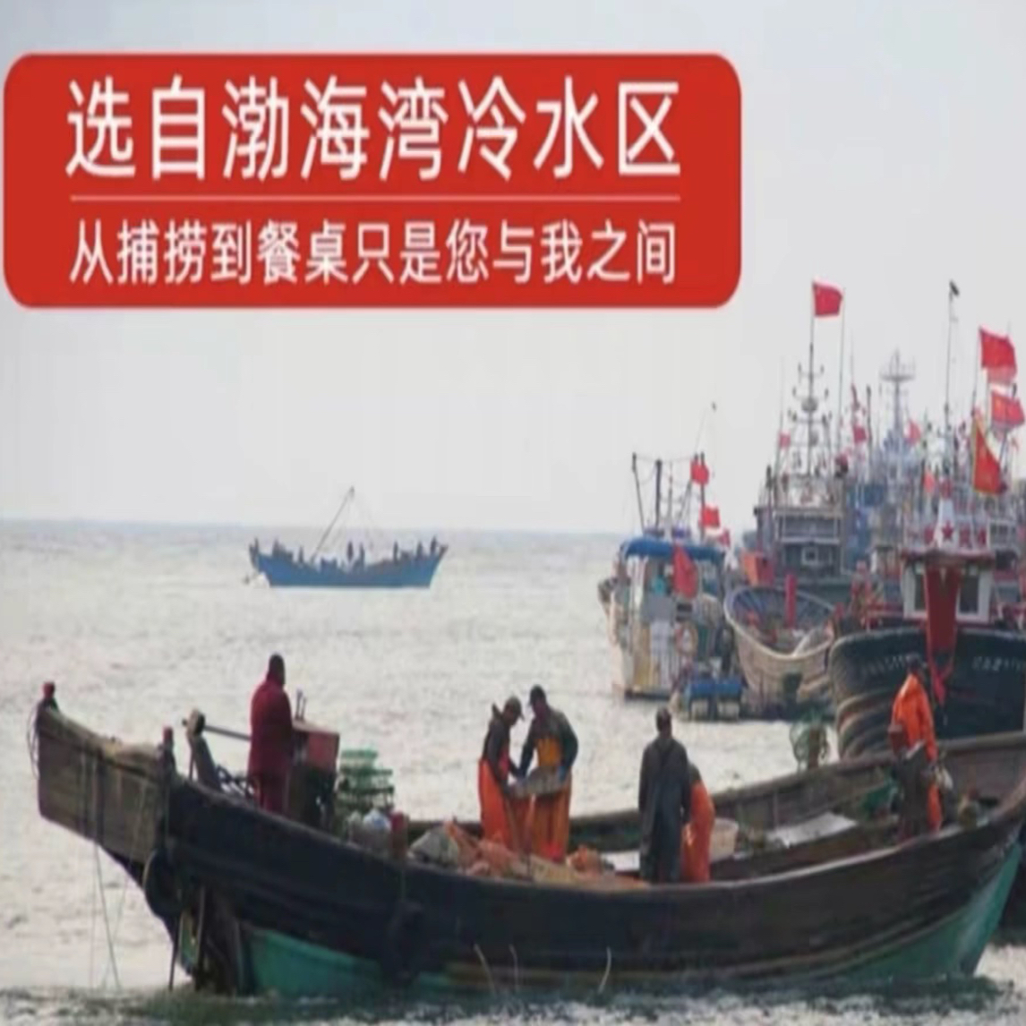 （渤海湾各种花盖海蟹3斤）发快递不保活/顺丰包邮