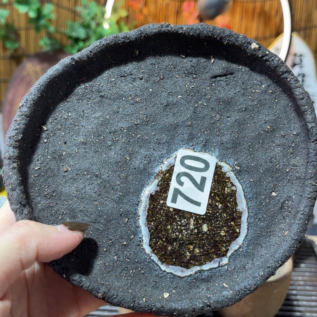 木村信弘柴烧保平