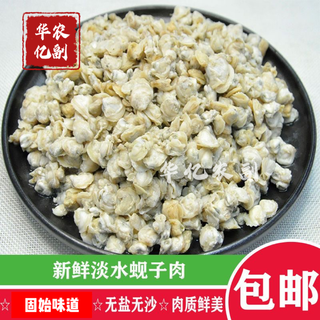 信阳固始新鲜捕捞沙河蚬子肉手工挑肉包邮发货