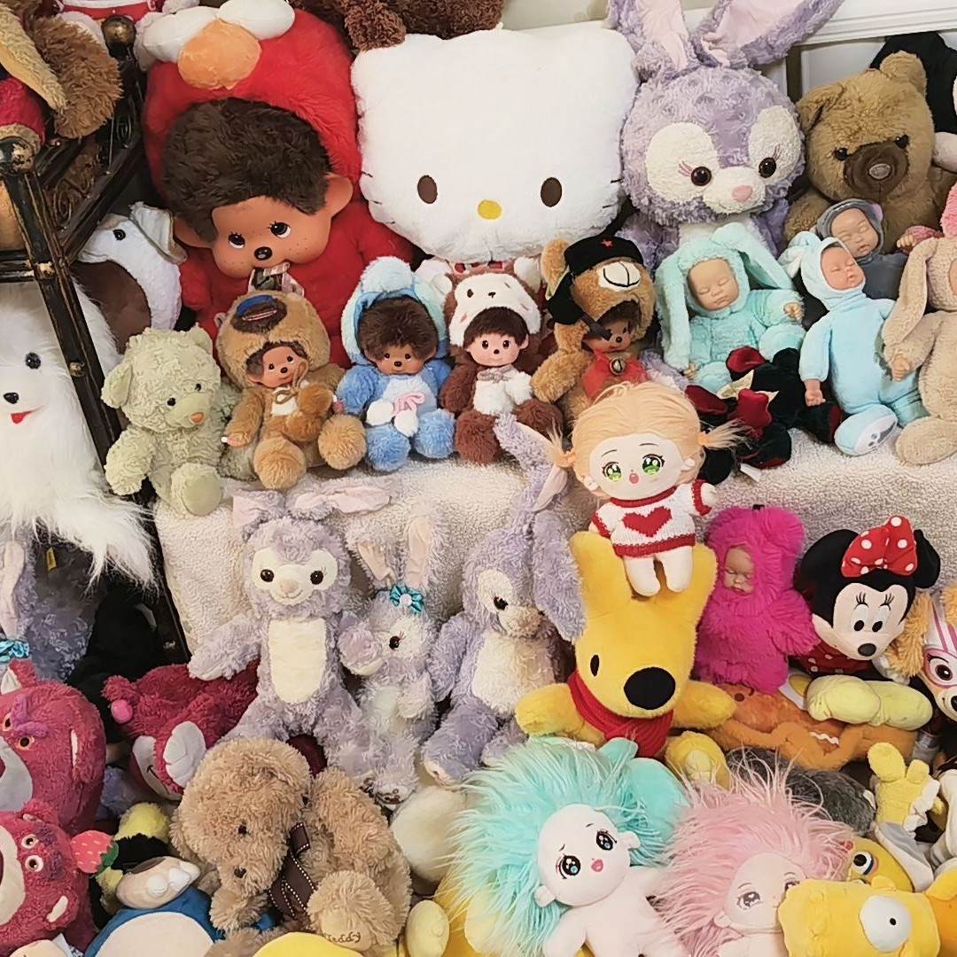 豆豆家的毛绒玩具no退no换