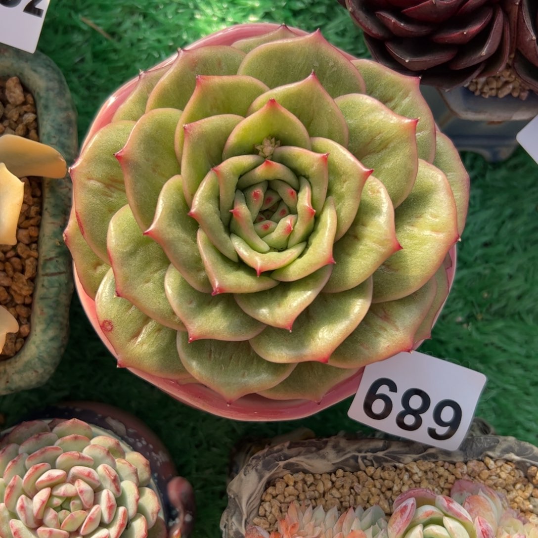 689 满38包邮一物一拍