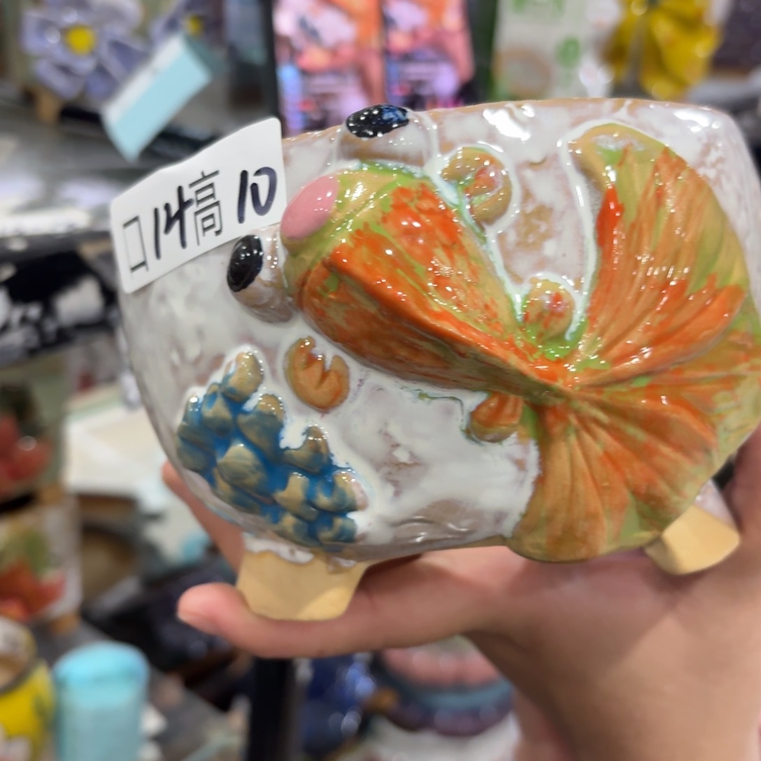 本场直播满百送个盆