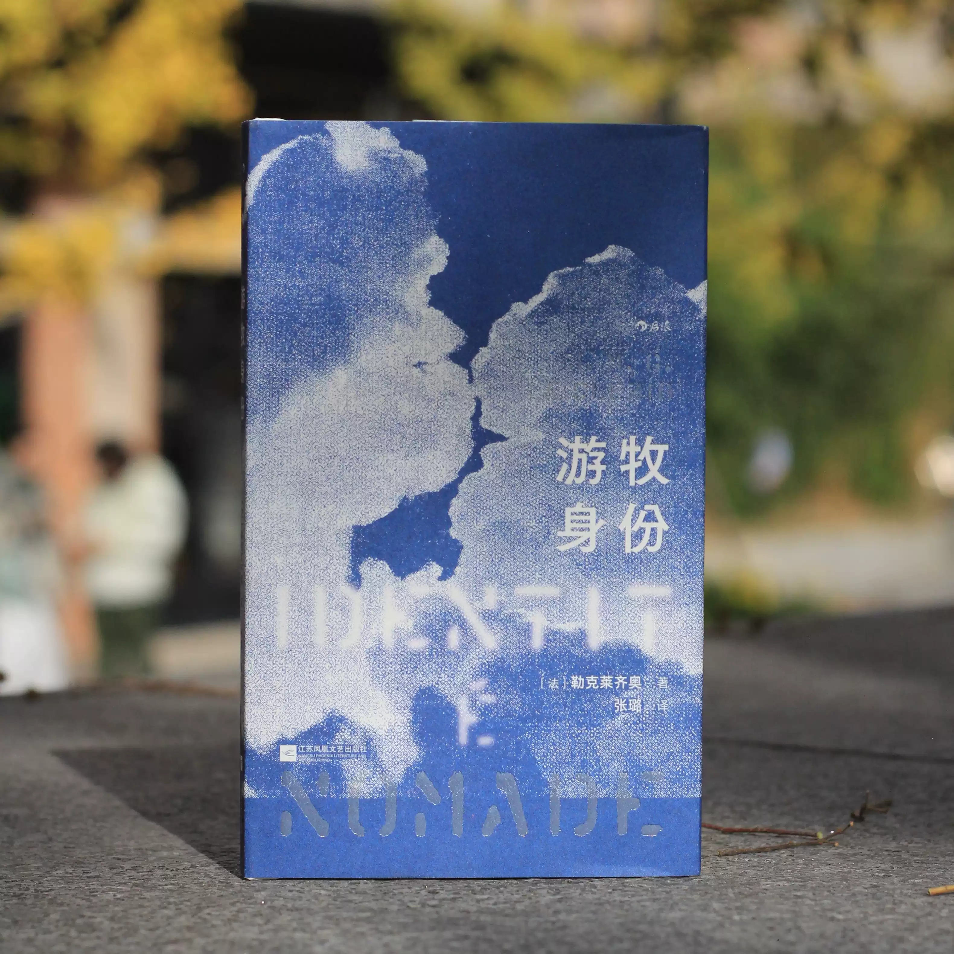 【预售】游牧身份 诺奖得主勒克莱齐奥著 精装小开本 