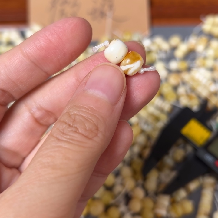 蜜蜡未镶嵌裸石8.1mm一对