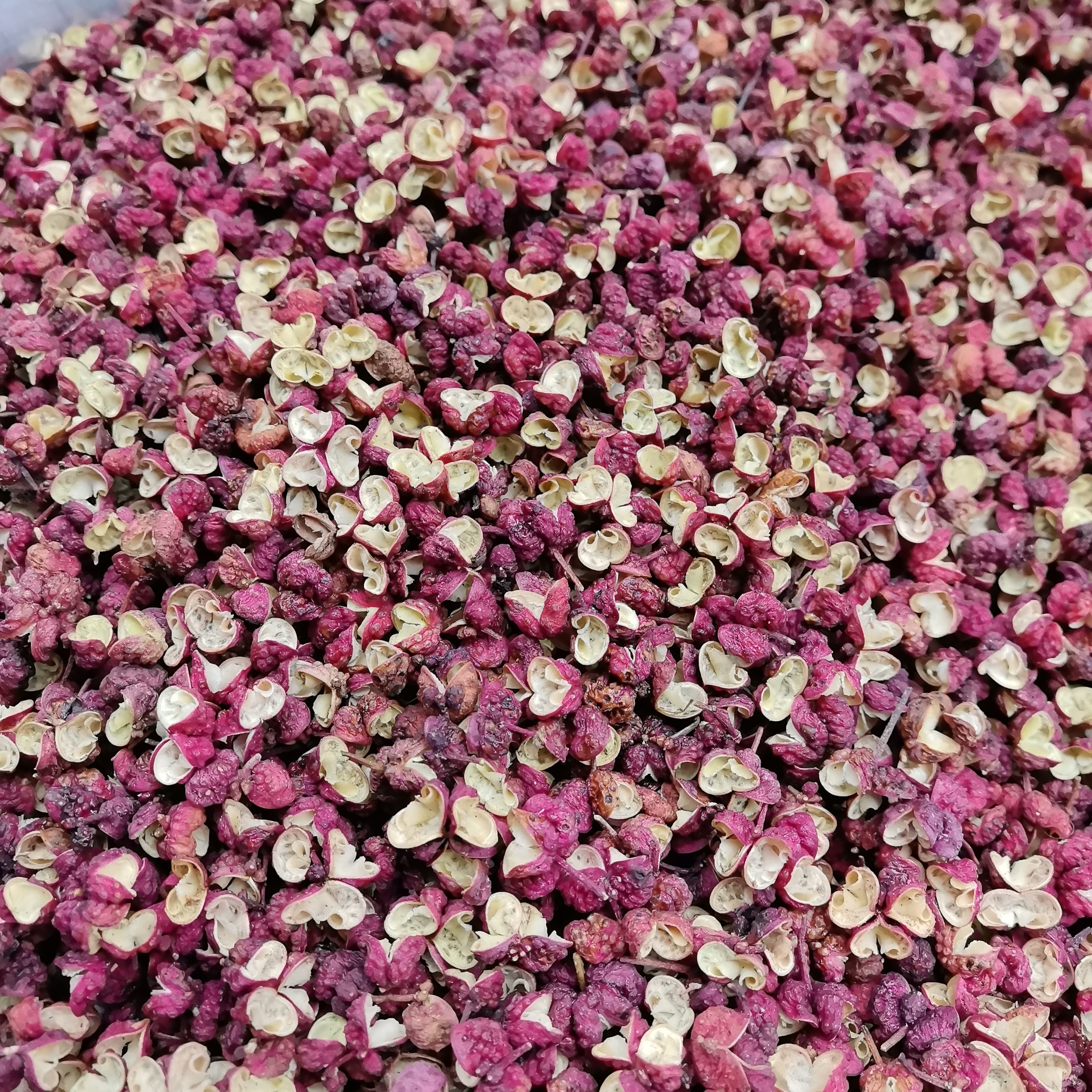 四川汉源大红袍花椒特香特麻火锅烹饪调味料