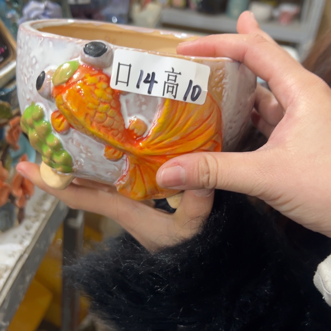 满18.8米包邮多肉花盆