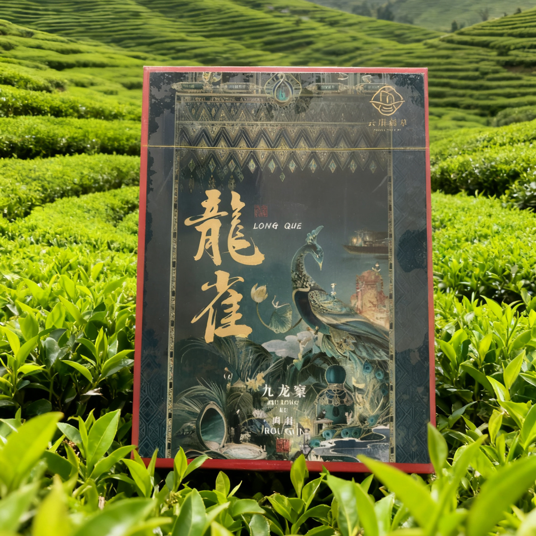 云崖瑶草（龍雀）九龙窠肉桂 8.5g*6泡