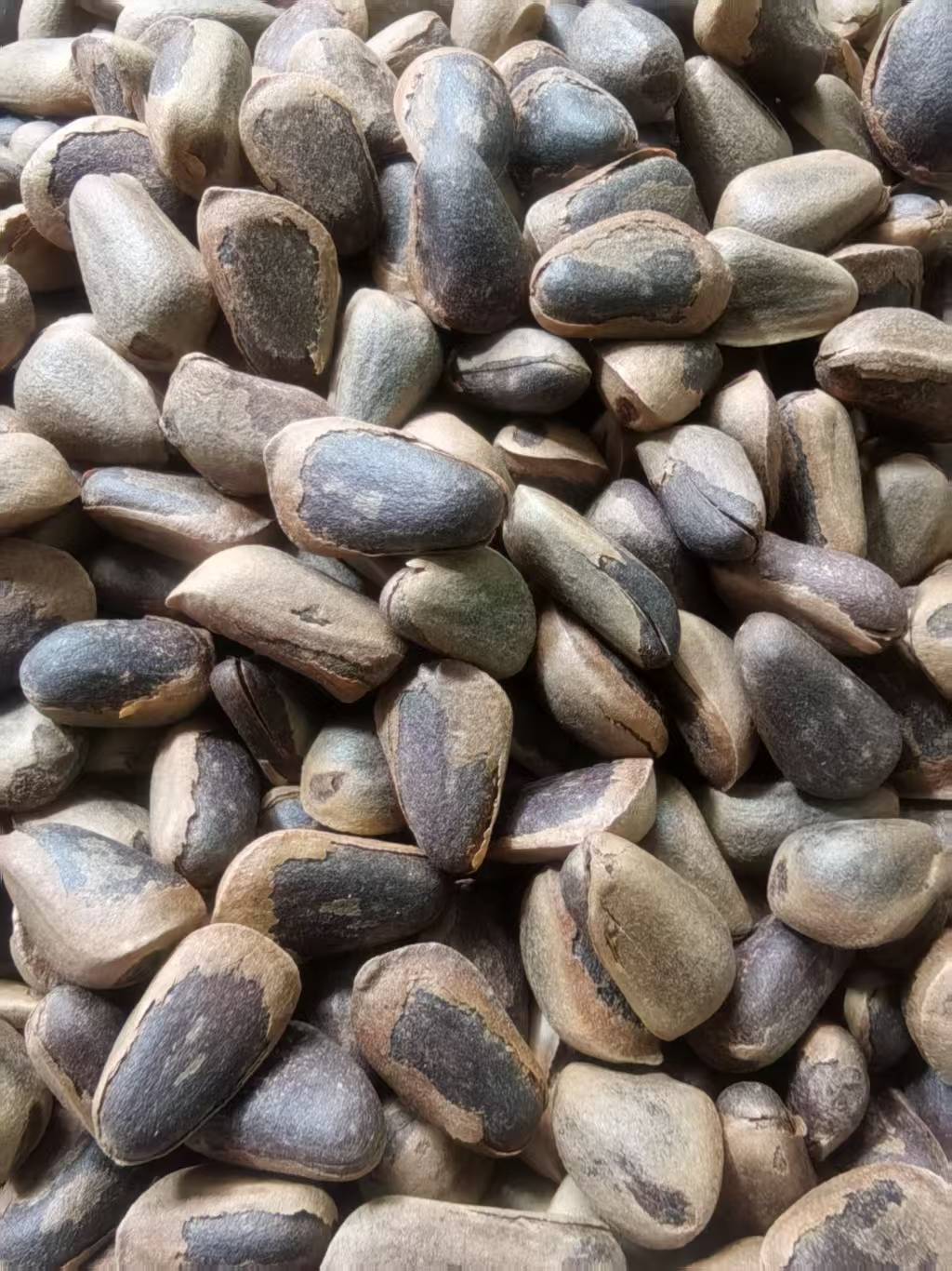 东北野生特大粒松子物理开口大铁锅笨炒原味坚果零食