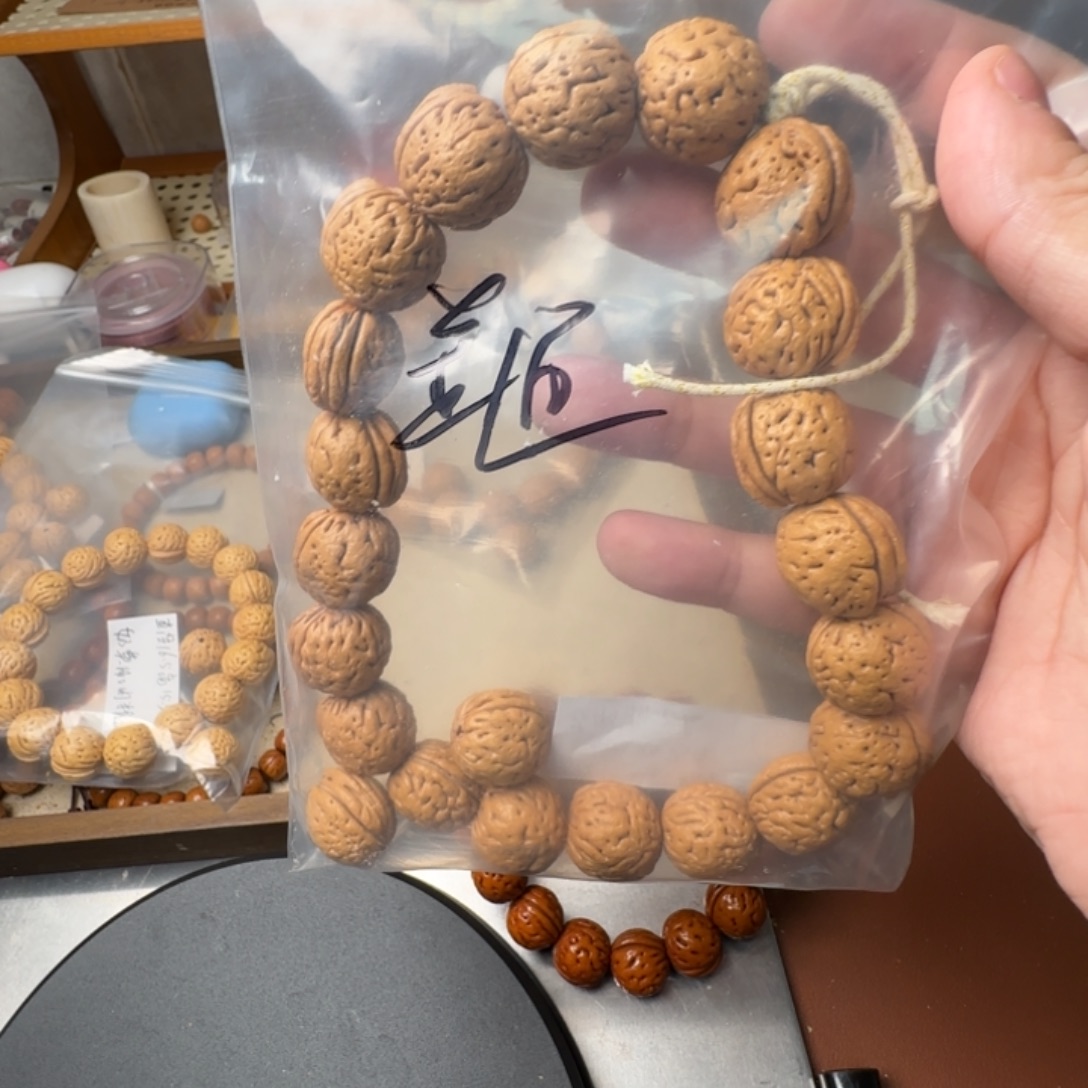 普***。盘锦霸王龙哈哈哈哈家